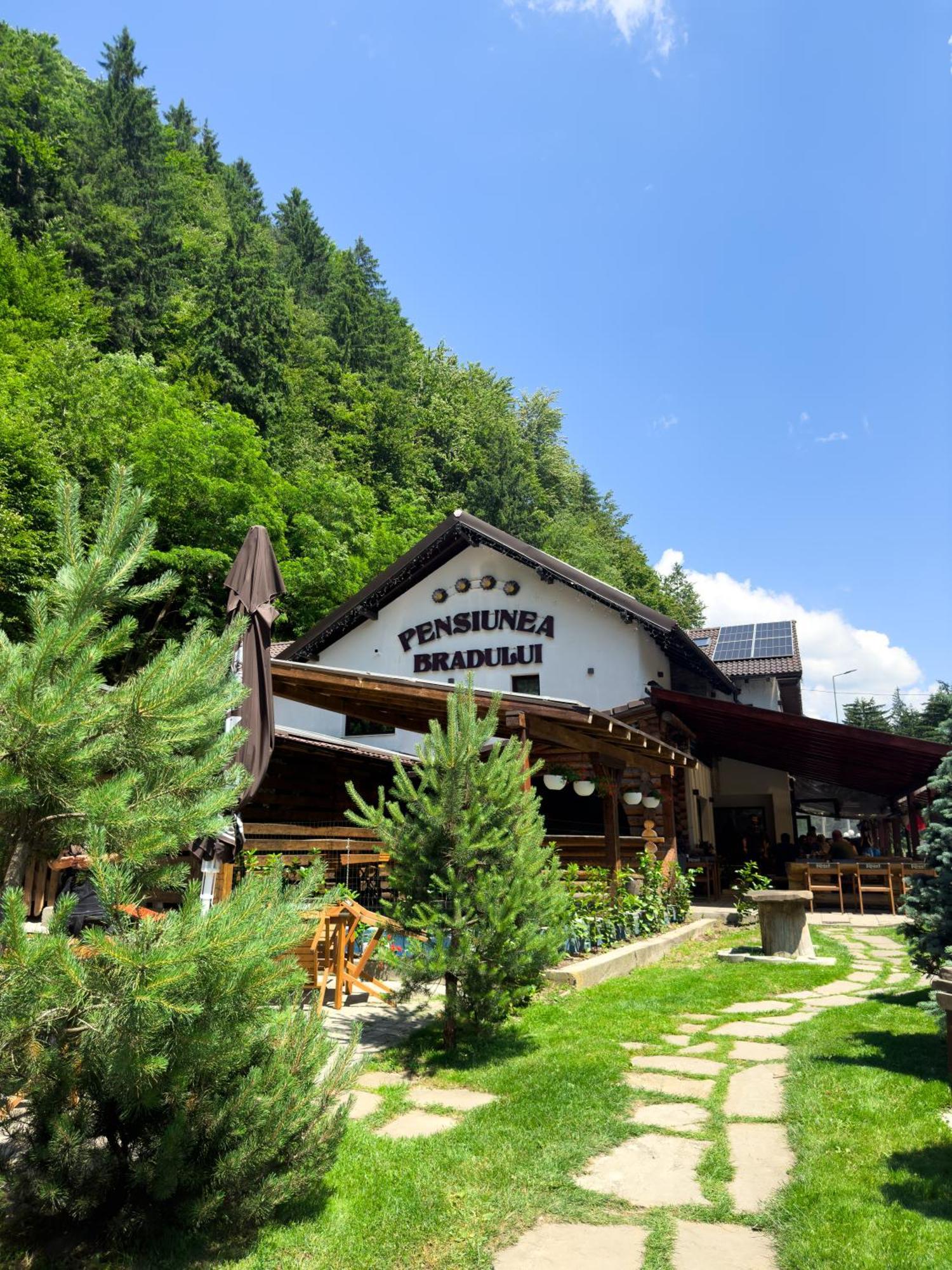 Pensiunea Bradului Colibita Exterior photo